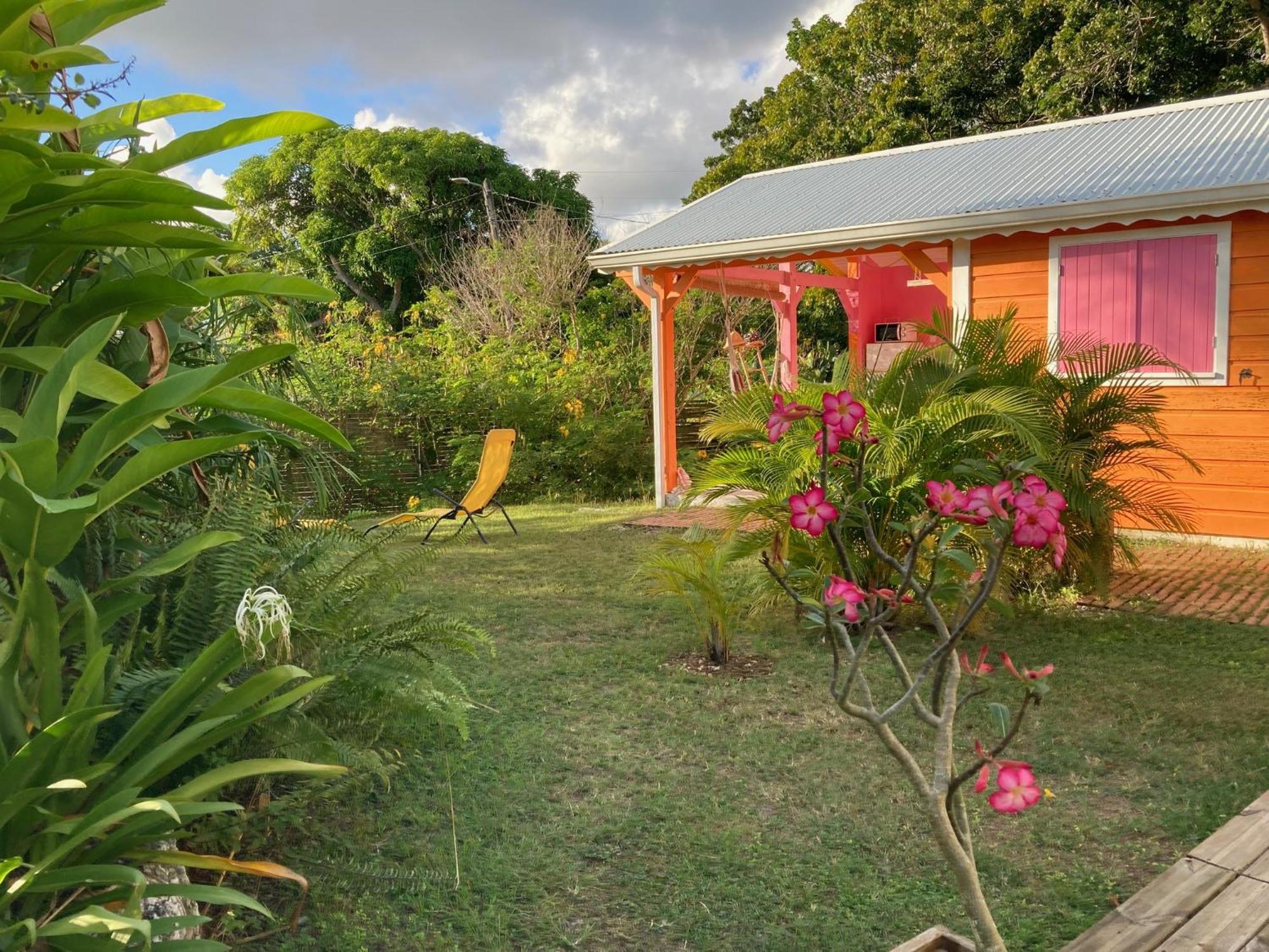 Appartement Les Cauris de l'Anse à Sainte-Anne  Extérieur photo